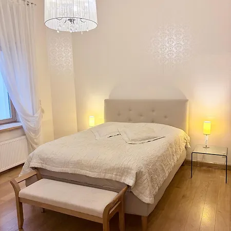 アパート Elegant Art Nouveau Hideaway In Elizabetes Street リガ