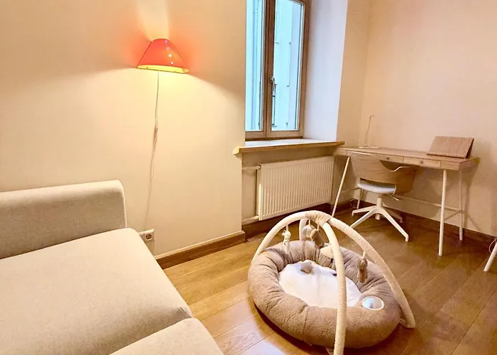 Dzīvoklis Elegant Art Nouveau Hideaway In Elizabetes Street *